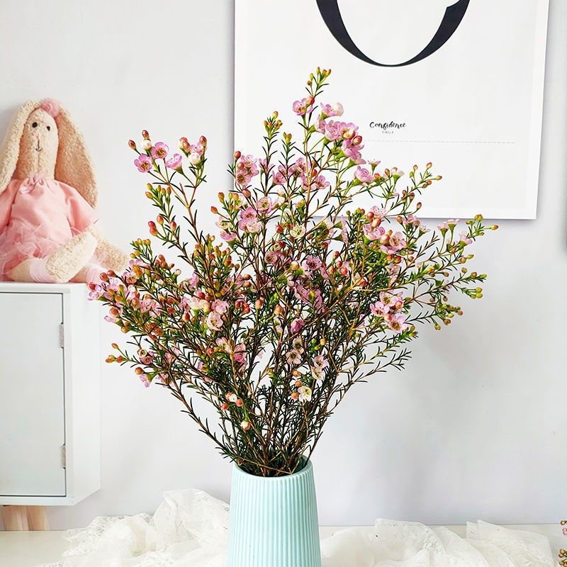 腊梅鲜花花束云南基地直发婚庆家庭装饰插花水养澳洲腊梅年宵花