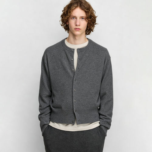 extreme cashmere 26AW n°436 luce圆领开衫 老虎上上山 买手店