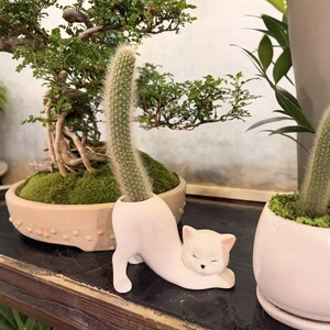 多肉花盆翘屁小猫陶瓷花瓶家居阳