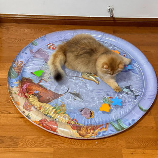 神器注水猫凉垫宠物猫窝水床宠物垫子拍拍水垫冰凉垫睡觉用降温