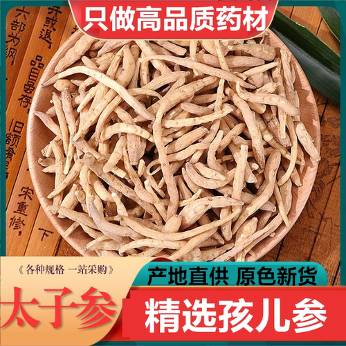太子参野生正品孩儿参