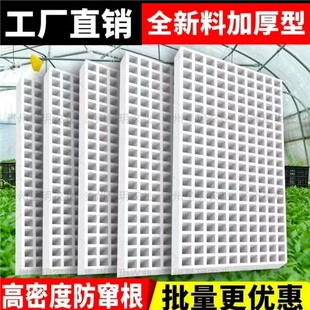 泡沫育苗票盘米辣椒瓜果蔬菜水培加厚水上漂浮托盘漂浮盘种子家用