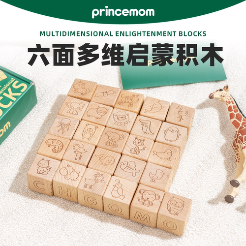 PrinceMom大颗粒字母积木婴儿0到3岁数字正方形早教认知多面玩具