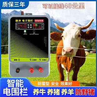 电子围栏主机畜牧用双显示养牛羊防野猪大象棕熊电围栏能量放大器