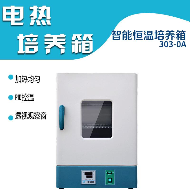 恒温箱电热恒温培养箱微生物细菌培养箱