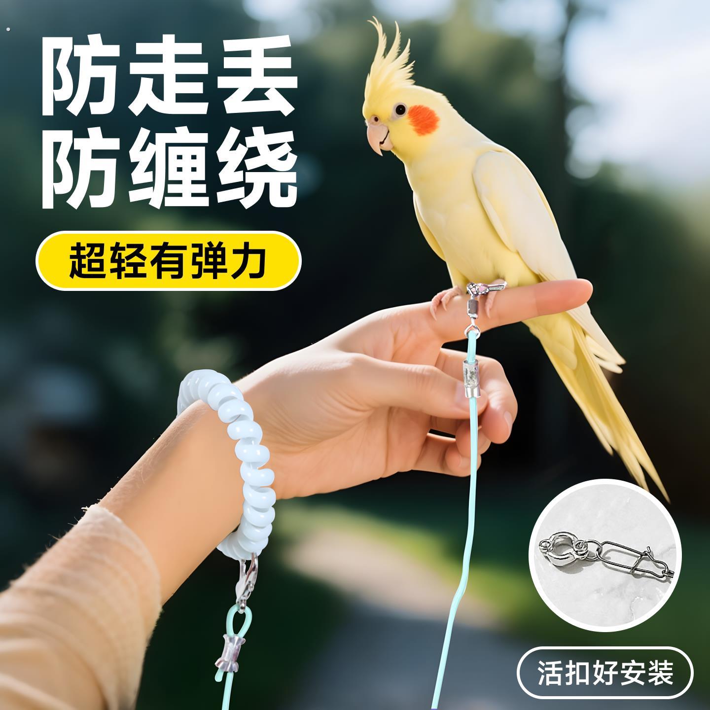 鹦鹉放飞绳不伤脚外出牵引绳虎皮玄凤专用鸟用的脚环脚炼遛鸟神器