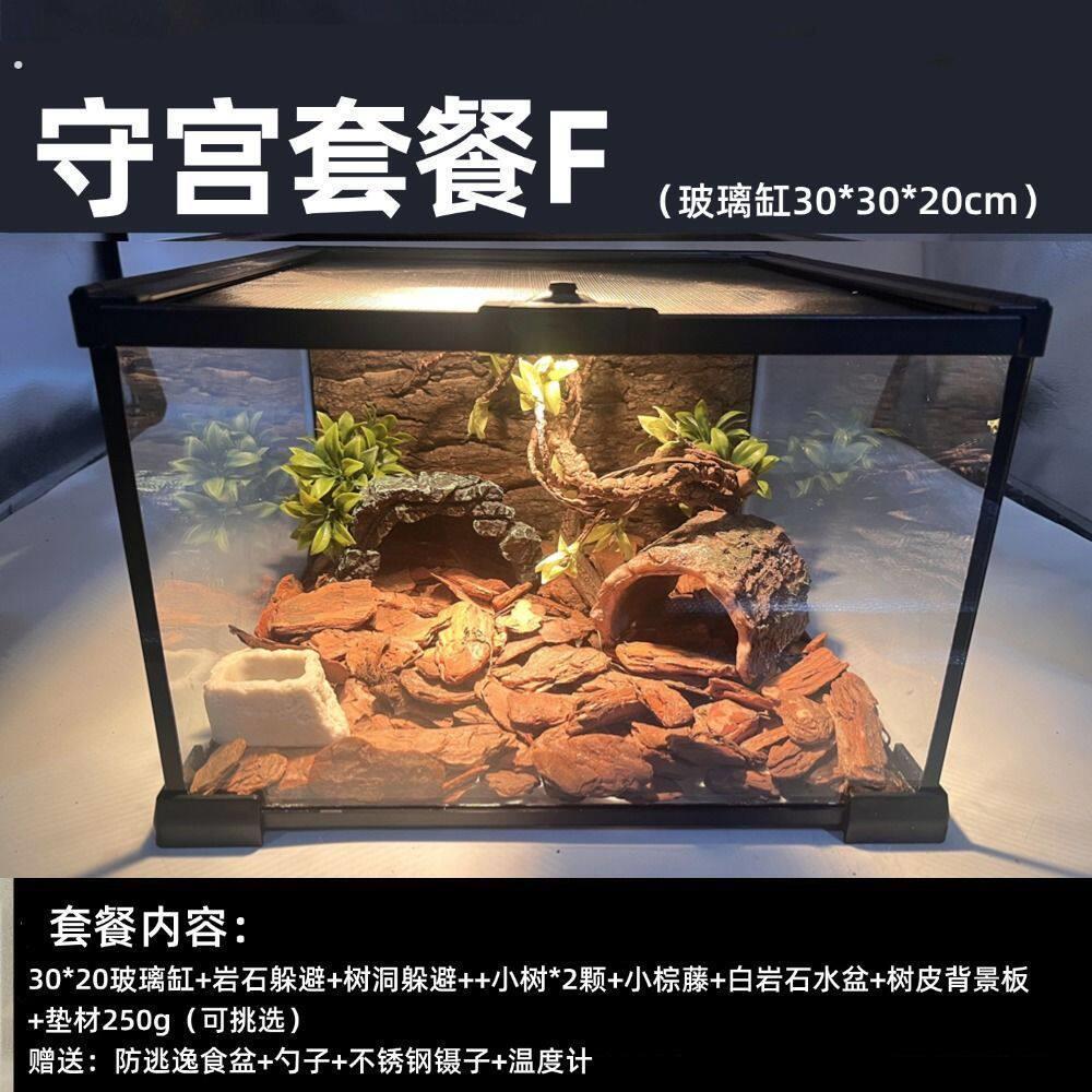 豹纹守宫饲养套装肥尾豹猫守宫宠物蛇玻璃缸饲养新手入门懒人套餐