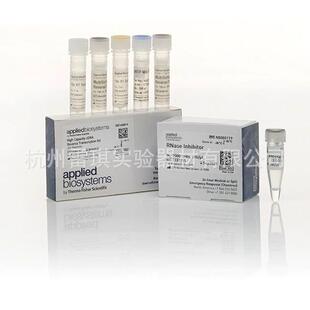 Applied Biosystems 高反式CDNA试剂盒 4374966