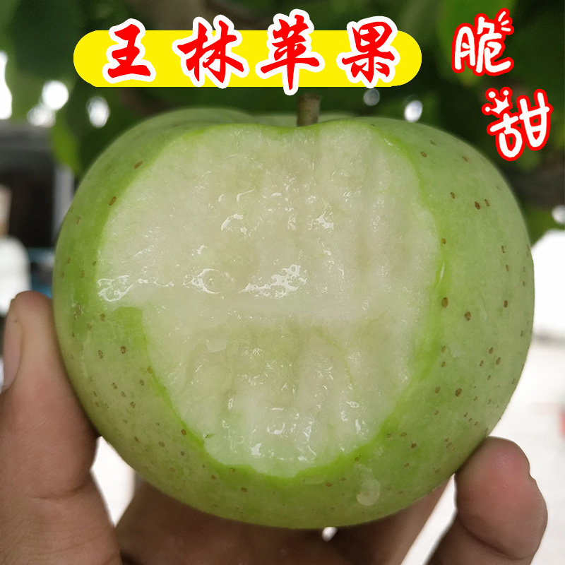 王林苹果青苹果新鲜水果大果脆甜多汁正宗青皮果臭心甜雀斑美人