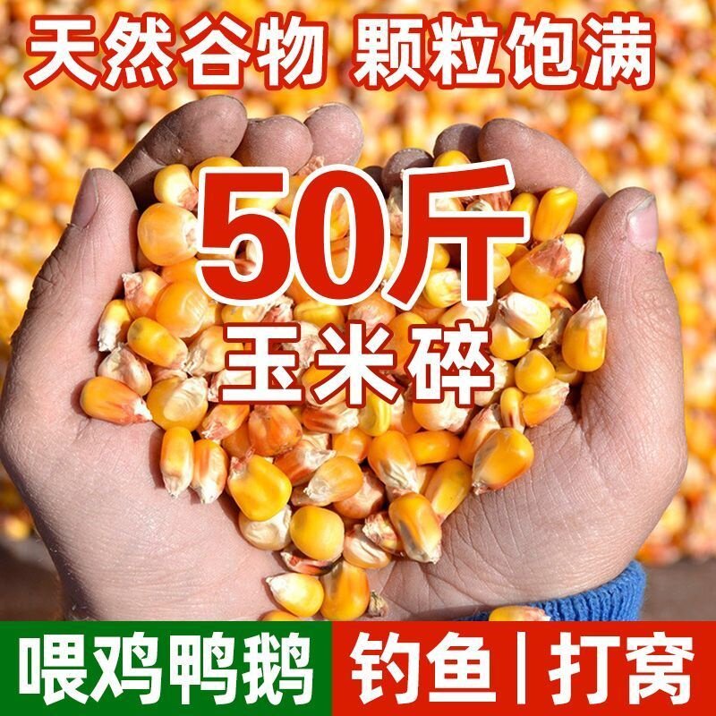 鸡鸭鹅猪牛羊家禽养殖农家玉米粒