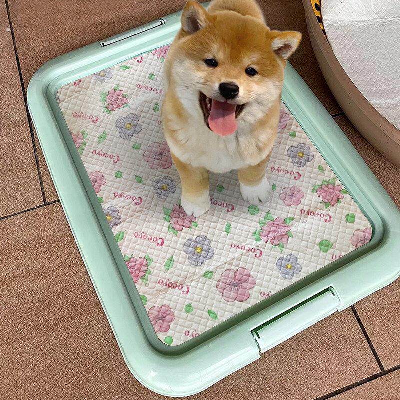 狗厕所小型犬小狗不湿脚防踩屎狗狗厕所大中型犬平板厕所盆便盆