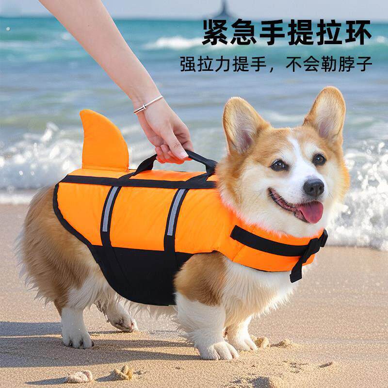 宠物狗狗游泳衣救生衣新款户外玩水柯基泰迪小型犬中型犬游泳用品