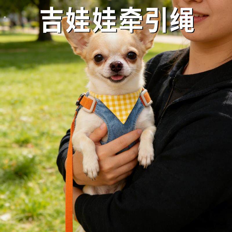 吉娃娃牵引绳小型犬专用背心式绳子超小体狗胸抱婴袋防挣脱链子宠