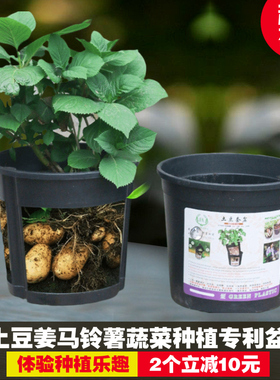 阳台种菜土豆盆种植盆花生生姜种植桶红薯盆树脂大号蔬菜盆栽加