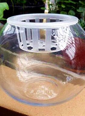 室内绿萝水培花盆透明玻璃花瓶大号花卉水养植物器皿鱼缸客厅摆件