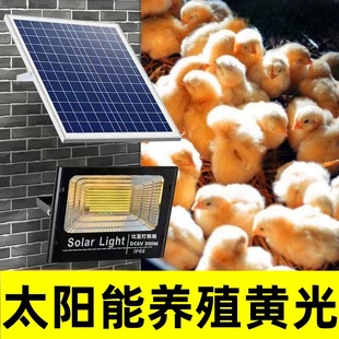 养殖场太阳能灯养鸡场专用led超亮养殖场暖光灯照明灯蛋鸡节能灯