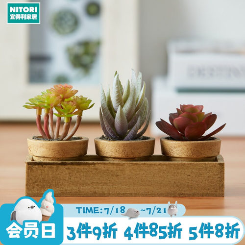 NITORI宜得利家居仿真多肉盆栽