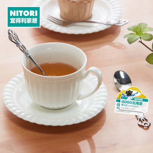 NITORI宜得利家居茶勺2件套