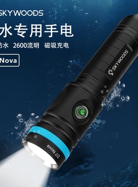 潜水手电筒强光充电超亮防水专业深潜夜潜水下专用照明灯赶海白光