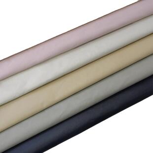 羽绒服布料面料高档430T尼龙丝纺轻薄无胆防钻绒防水防风胆布羽绒