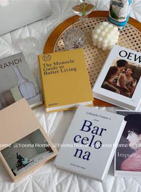 Modern minimalist simulation book cream ins style fake book