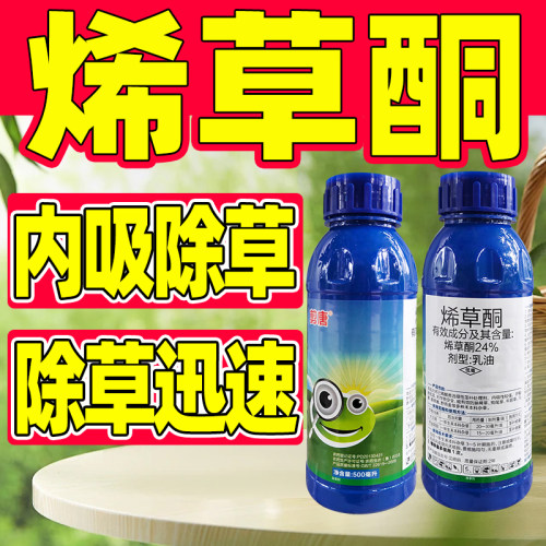 烯草酮除草剂大豆油菜田除草专用