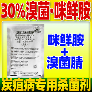 炭疽病专用杀菌剂30%溴菌咪鲜胺铵溴菌腈晴西瓜炭疽病克星百佳利