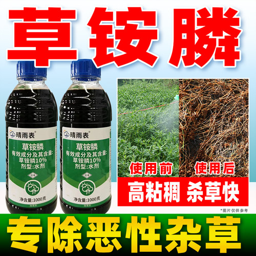 晴雨表10%草胺磷除草剂果园荒地