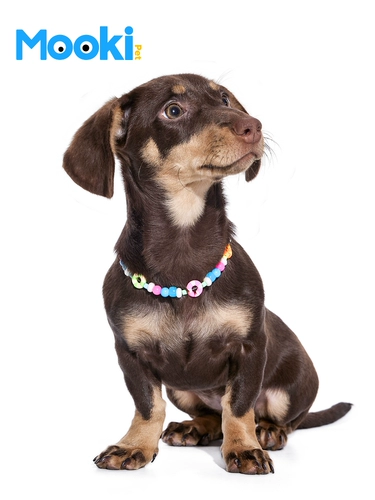 Mookepet Pet Dog Dog Кошка