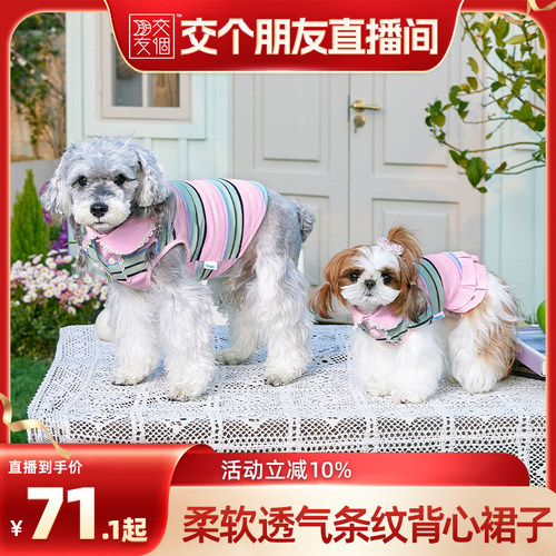 小型犬条纹花边无袖Polo背心裙