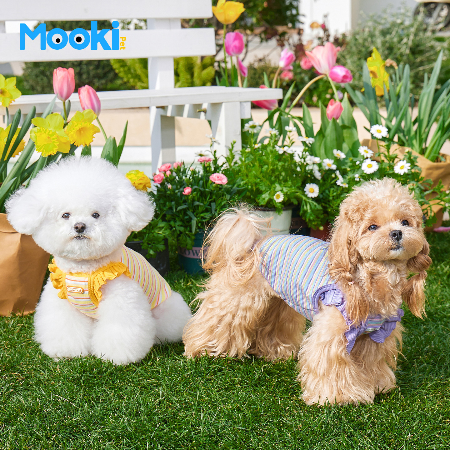 mookipet狗狗衣服宠物猫咪小型犬比熊雪纳瑞夏天吊带背心夏季服饰
