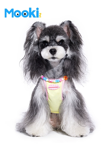 Mookepet Pet Dog Dog Кошка