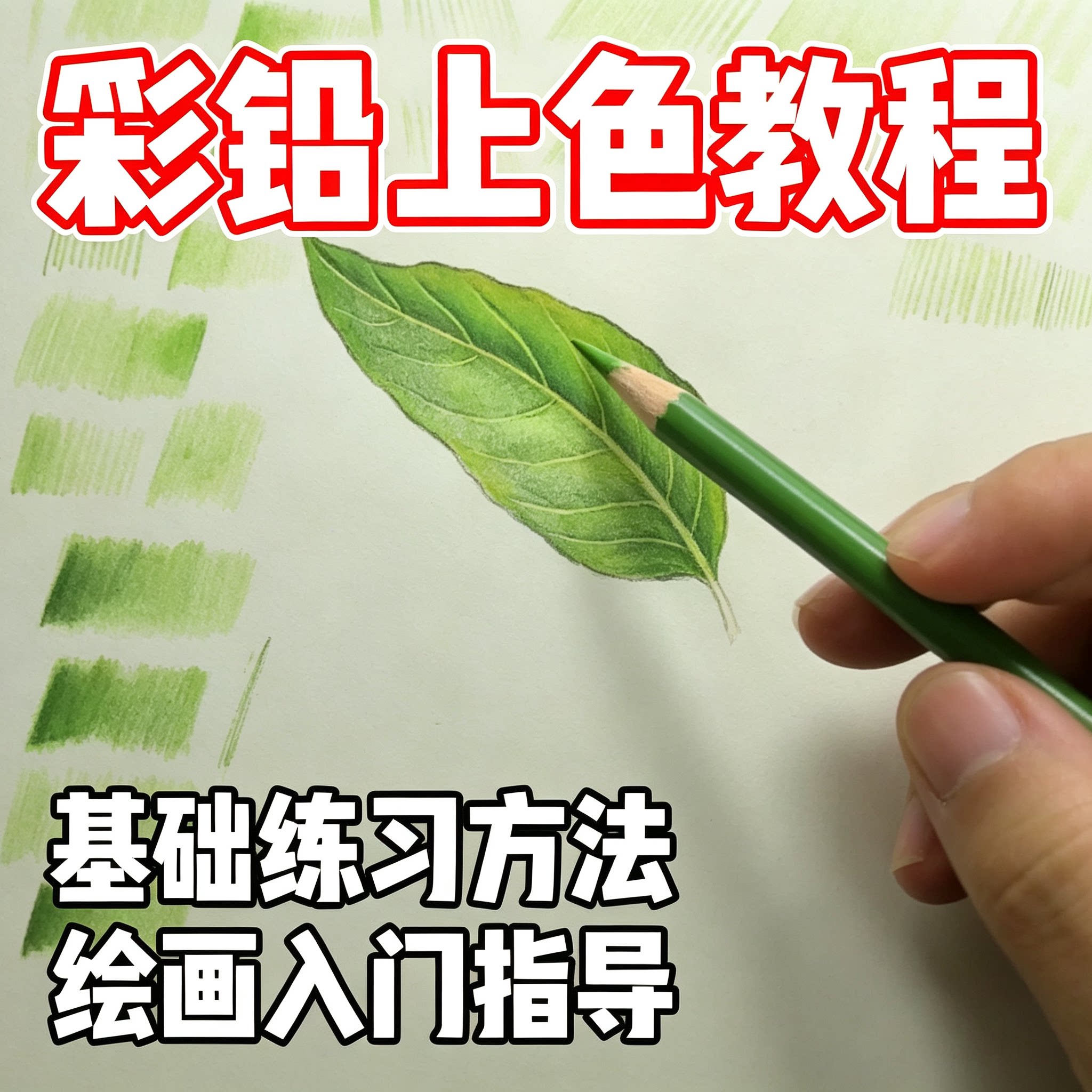 彩铅手绘上色基础教程排线渐变叠色静物植物绘画新手电子版资料