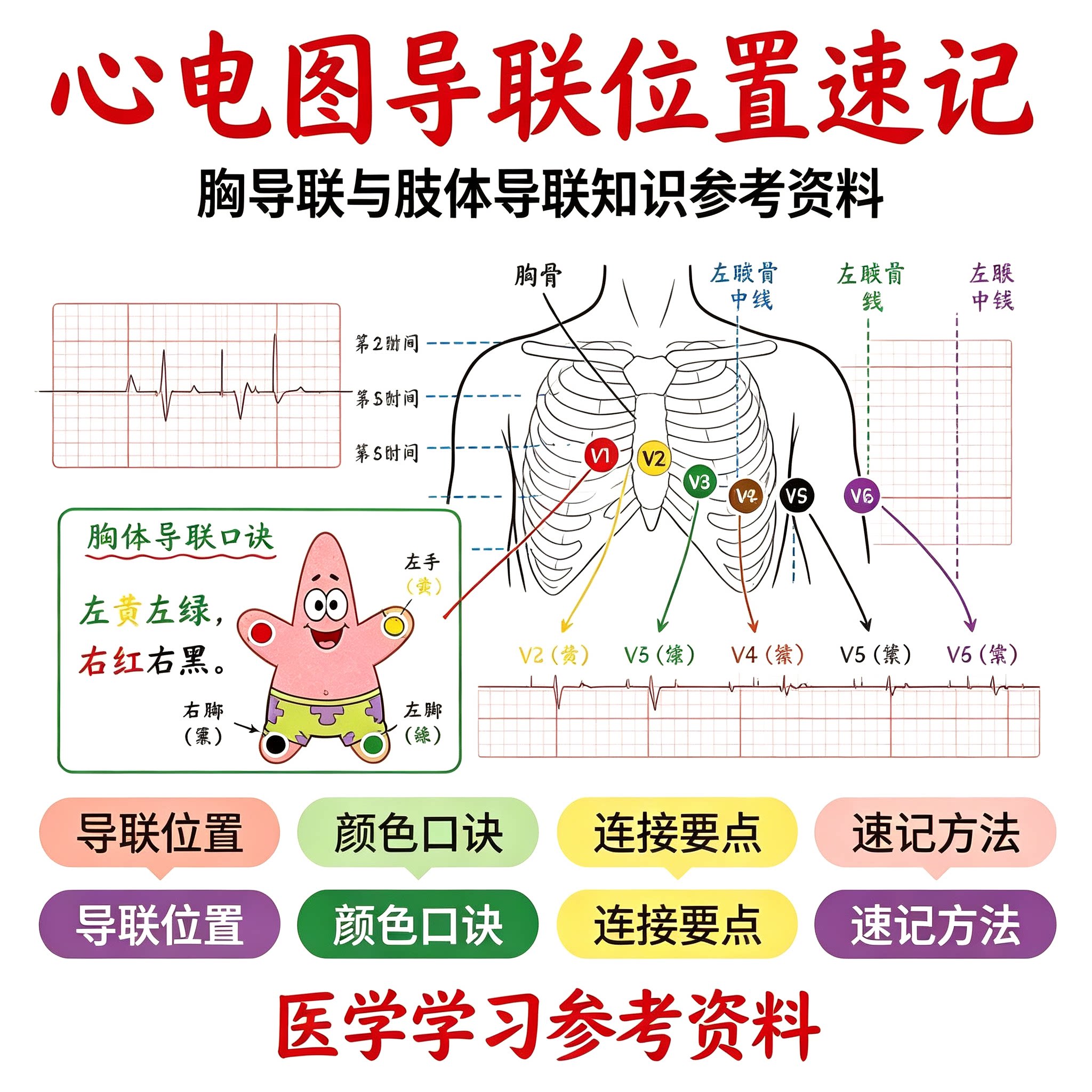 心电图导联位置速记教程胸肢导联颜色口诀连接要点医学学习资料