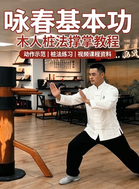 咏春木人桩撑掌基本功教程动作示范桩法练习武术防身学习资料