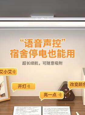 智能语音遥控充插两用LED灯学生宿舍阅读灯床头灯三色调光酷毙灯