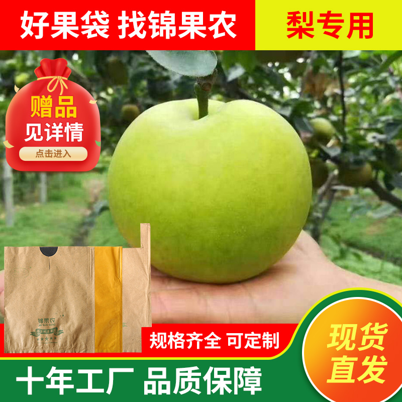 新款高档梨专用套袋防水防鸟果袋