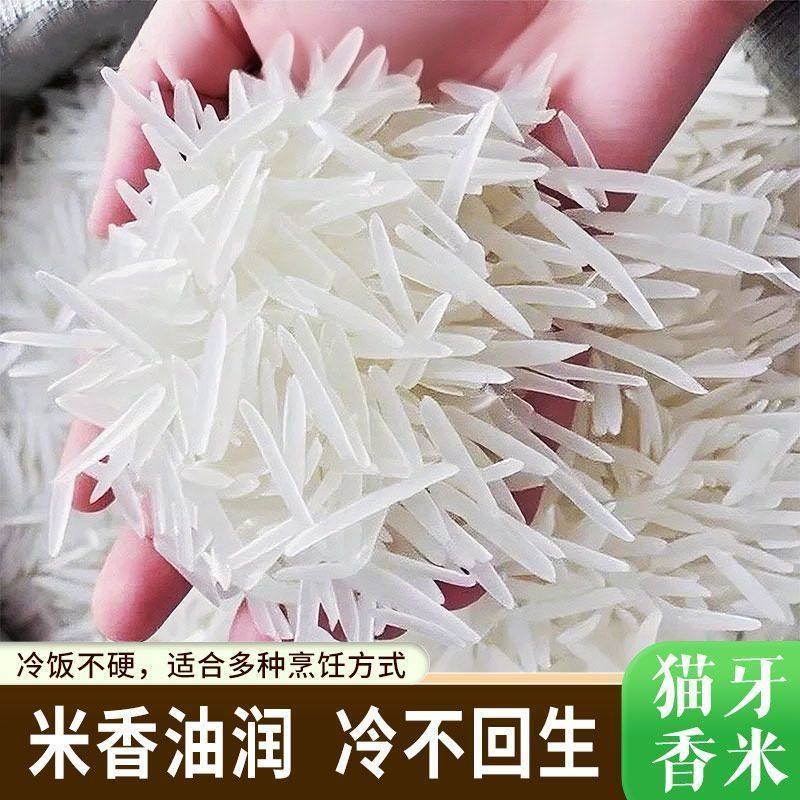 东北猫牙米500g真空装袋装新米优级大米冷饭不硬米香油润东北大米,粮油调味/速食/干货/烘焙,大米,淘宝优惠券,粉丝福利购,淘宝优惠卷