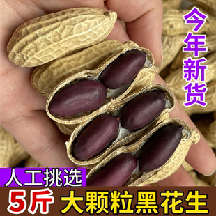 云南富硒黑花生花生高产种子紫皮云南富硒黑花生米带壳坚果零食