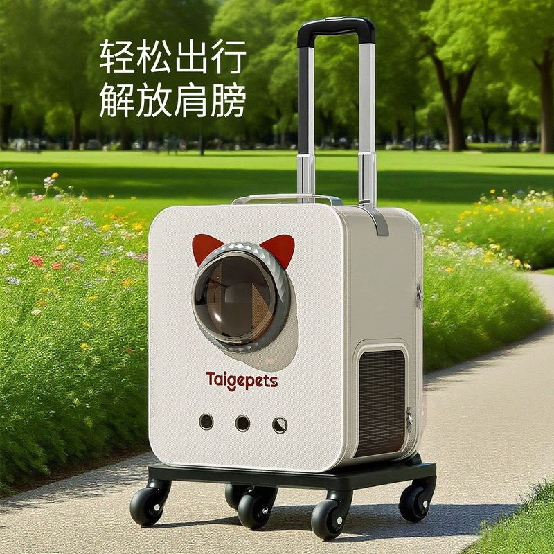 背包背包猫箱包应激防双肩包猫