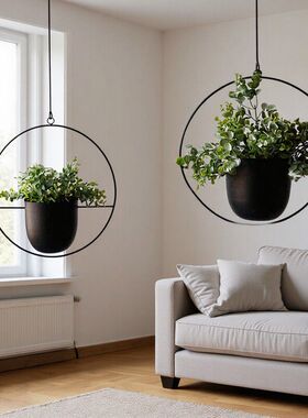 吊盆铁艺悬挂水培植物吊兰吊饰