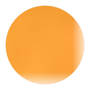 四川丑橘丑桔子树苗不知火蜜桔丑八怪砂糖椪柑苗橘子嫁接果苗种植