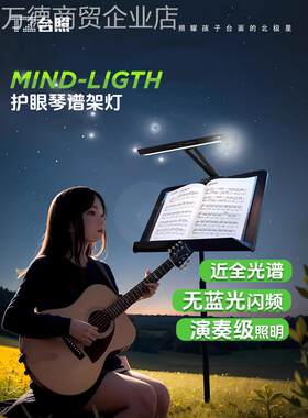 通用型家用提台充照乐谱灯筝小练琴专他用护眼插两用琴古吉灯演奏
