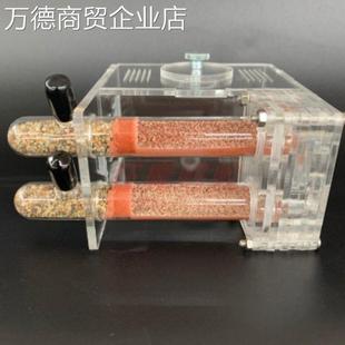 养蚂蚁生态箱养蚂蚁的盒子蚂蚁生态箱造景工坊带蚁后宠物试管蚁巢