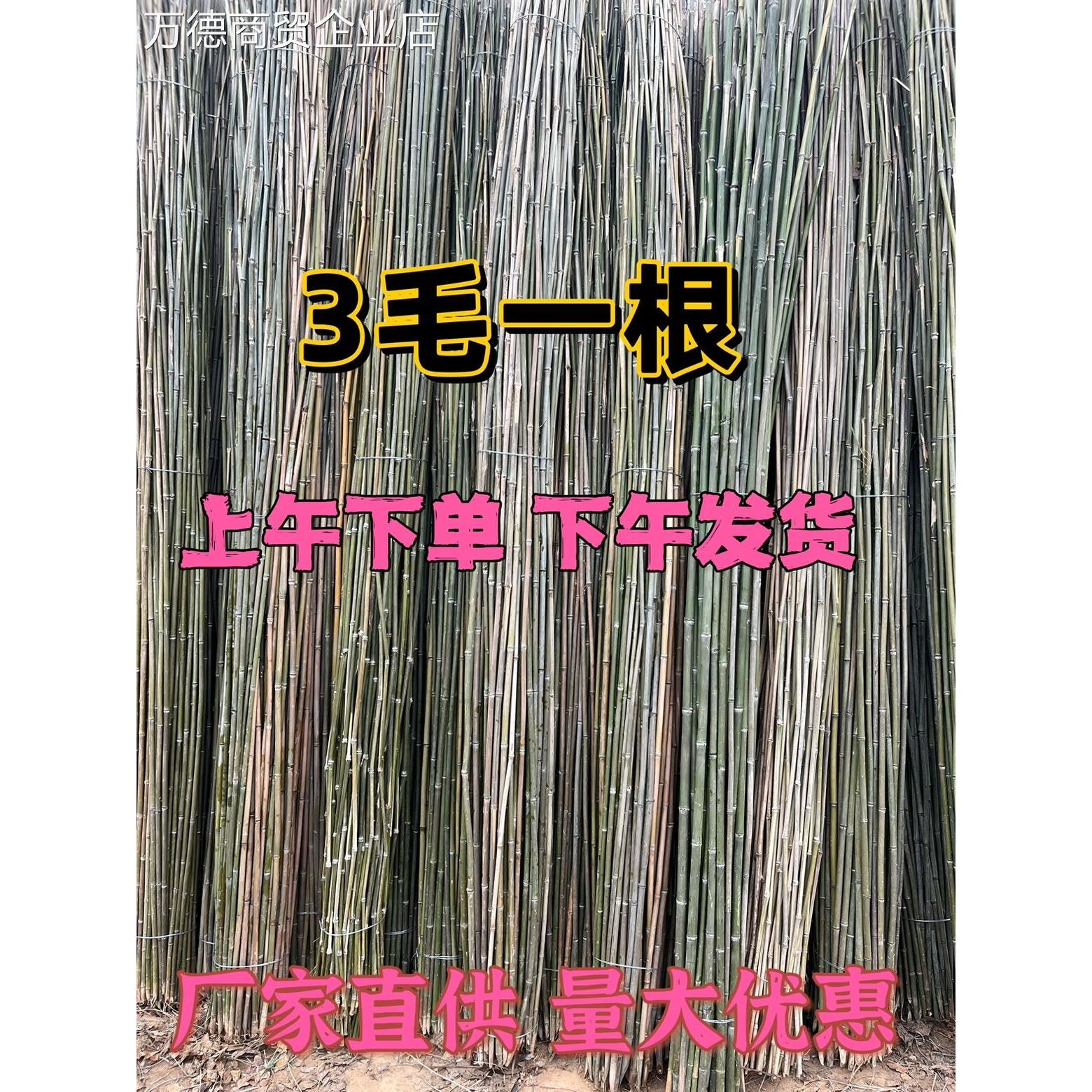 种菜棚架竹竿子菜园搭架各种蔬菜架丝瓜架黄瓜架豆角架番茄架爬藤