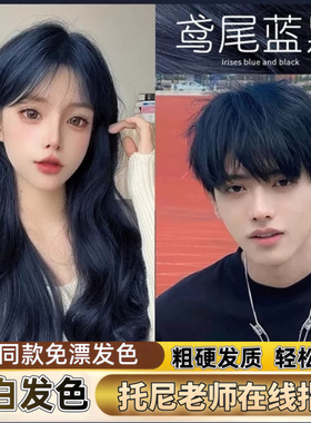 鸢尾蓝黑色染发膏植物免漂自己在家染发剂显白树莓红棕色荔枝粉棕