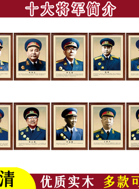 十大将十大元帅实木走廊客厅壁画