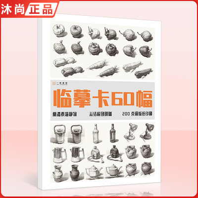 临摹卡60幅单体静物  一线美誉从结构到明暗单体静物高清临摹卡文创作品精美原画手绘素描单体静物袋装活页艺术明信片名师作品