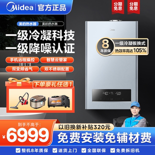 天然气壁挂炉家用采暖炉暖气片洗浴两用锅炉R53 一级冷凝 美