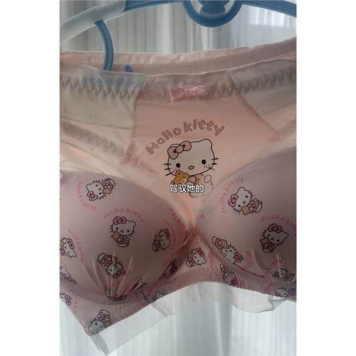 小猫咪蝴蝶结2026收副乳